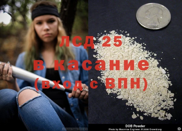 шишки Лихославль