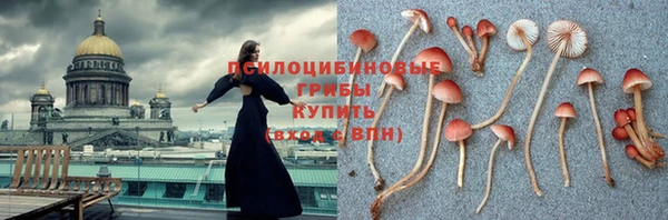 шишки Лихославль