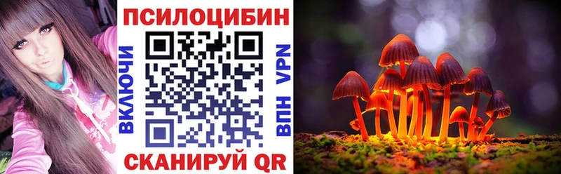 Купить закладки  Стрежевой  Галлюциногенные грибы мухоморы 